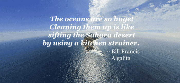 Why cannot we just clean up all plastic in the oceans?