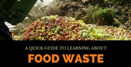 Food Waste Guide