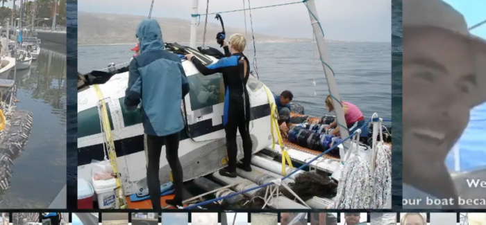 Marcus Eriksen, 5Gyres