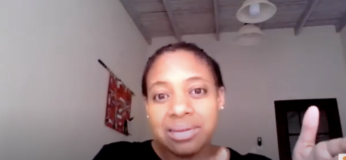 Screenshot from the webinar