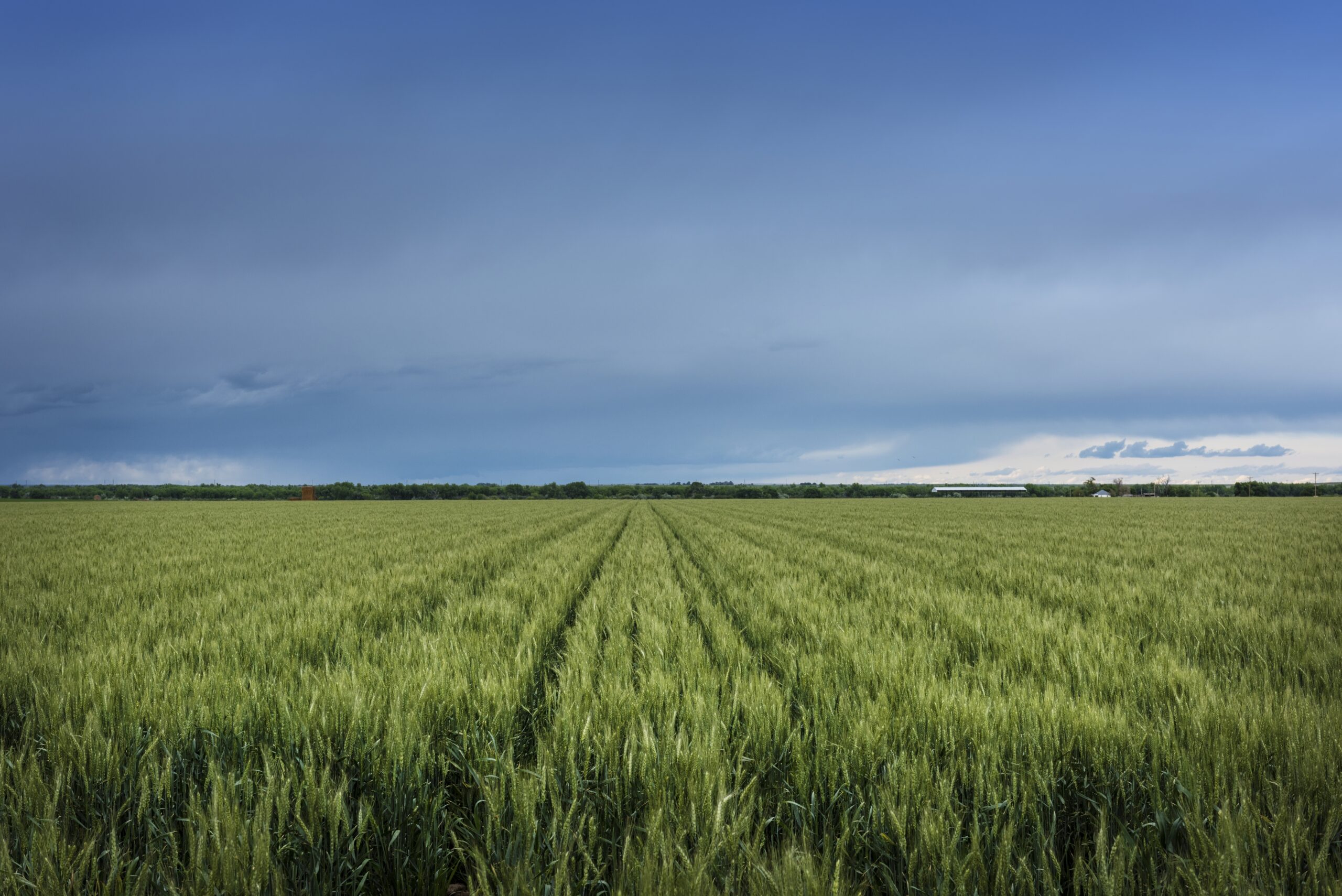 A picture of a field overlooking a threatening skies
