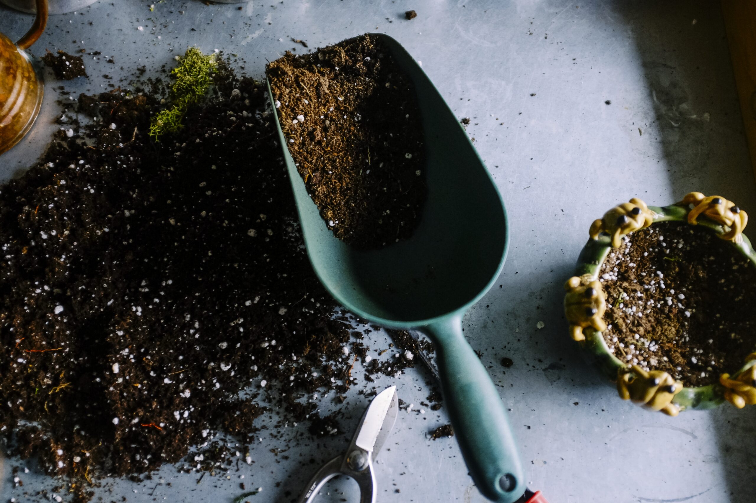 An image of garden compost