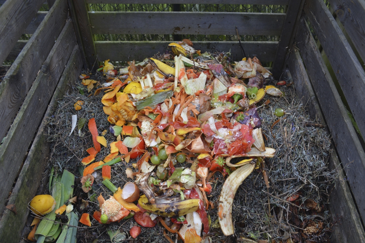 Image shows vegetable waste in a compost crate